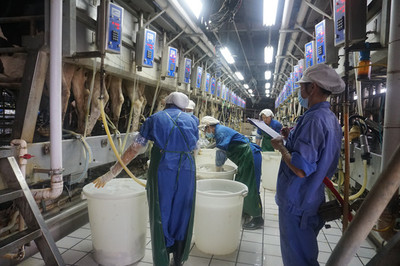 鐘山溫氏乳業 以生態養殖實現農經與環保的雙贏之道