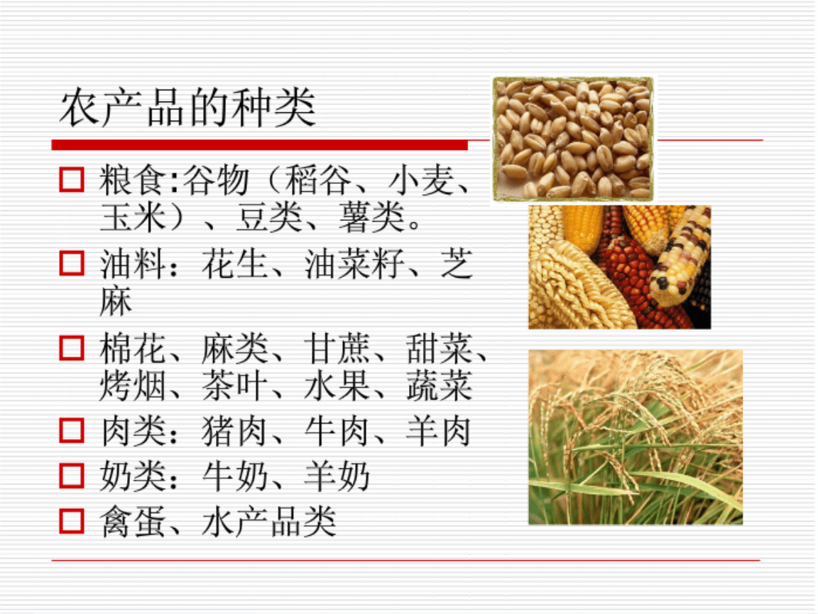 農(nóng)副產(chǎn)品綜合利用的發(fā)展路徑與技術(shù)創(chuàng)新