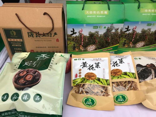 寶雞三區九縣特色農產品齊聚西府老街，網紅打卡與美食盛宴同步開啟
