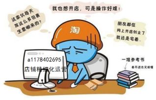 淘寶C店精細(xì)化運(yùn)營(yíng) 大鏈接爆款玩法的核心技術(shù)解析與轉(zhuǎn)讓價(jià)值