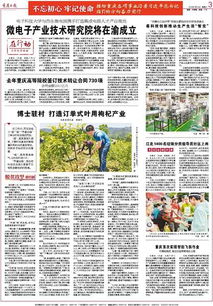 重慶高等院校技術(shù)轉(zhuǎn)讓成果豐碩，去年簽訂合同730項(xiàng)推動(dòng)創(chuàng)新發(fā)展